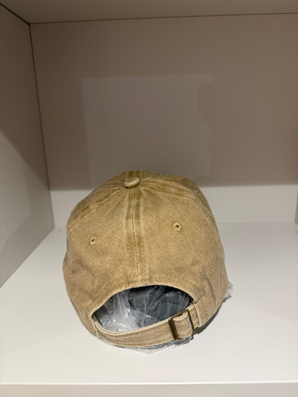 bassotto snob dog hat