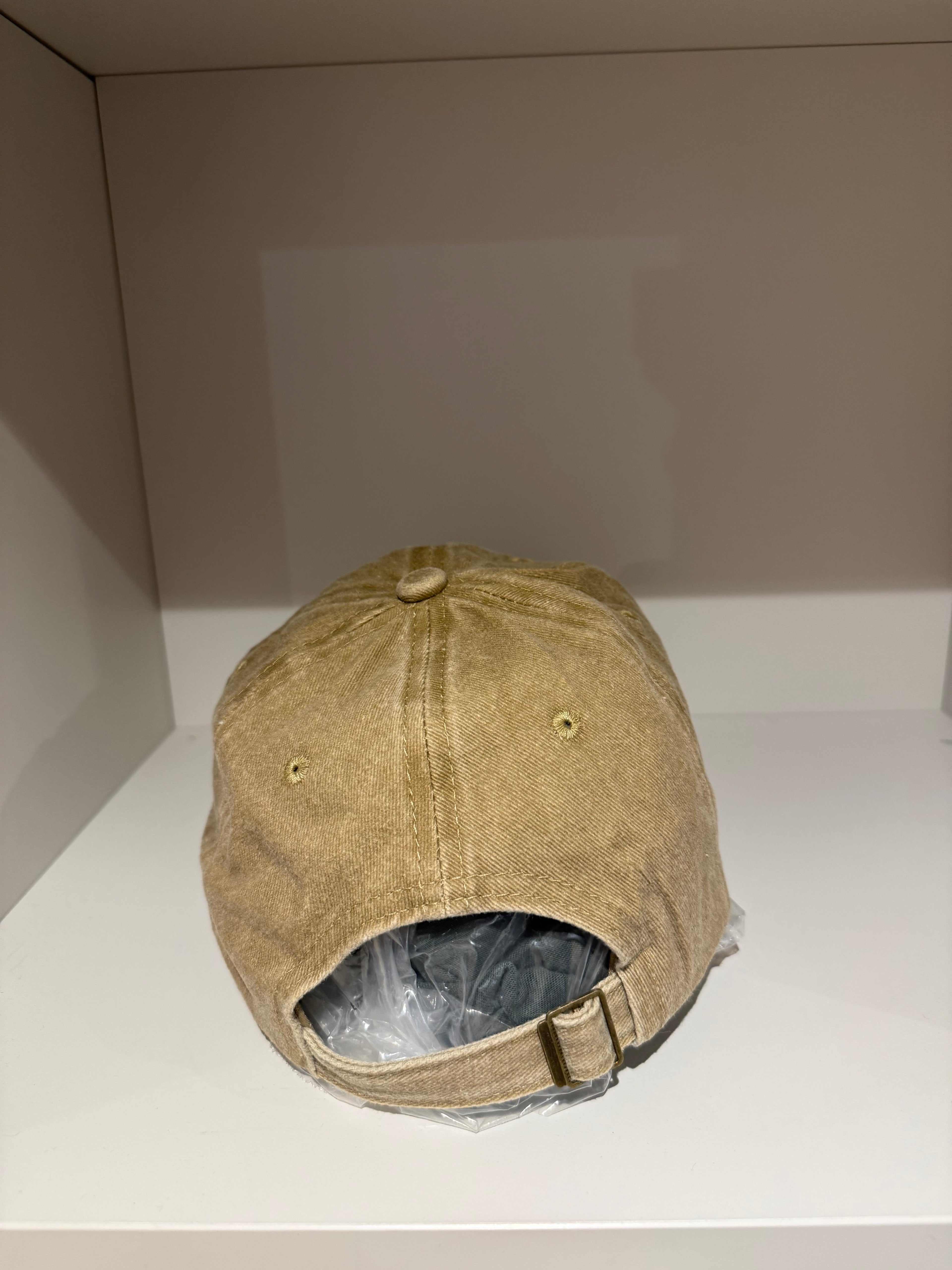 bassotto snob dog hat