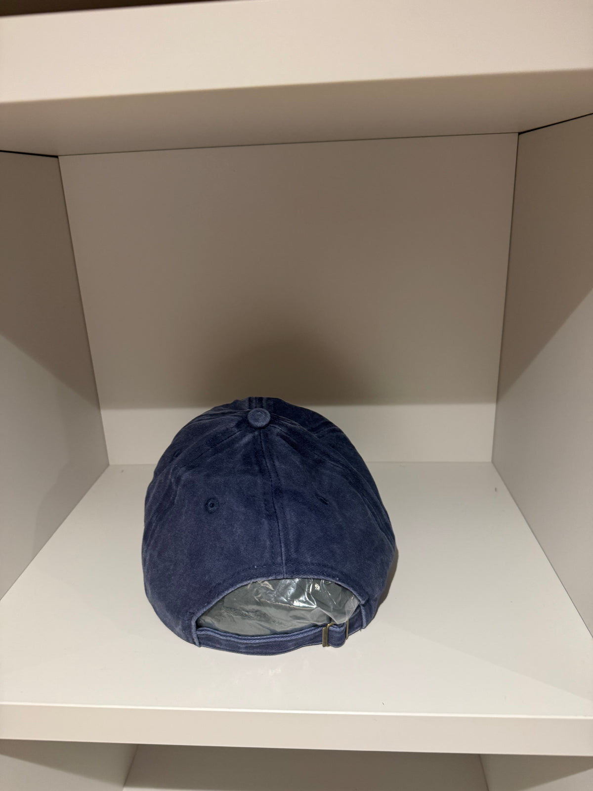 Botero blu navy hat cat