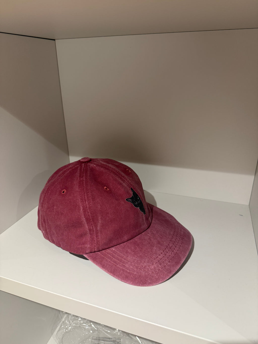 Hidden cat hat