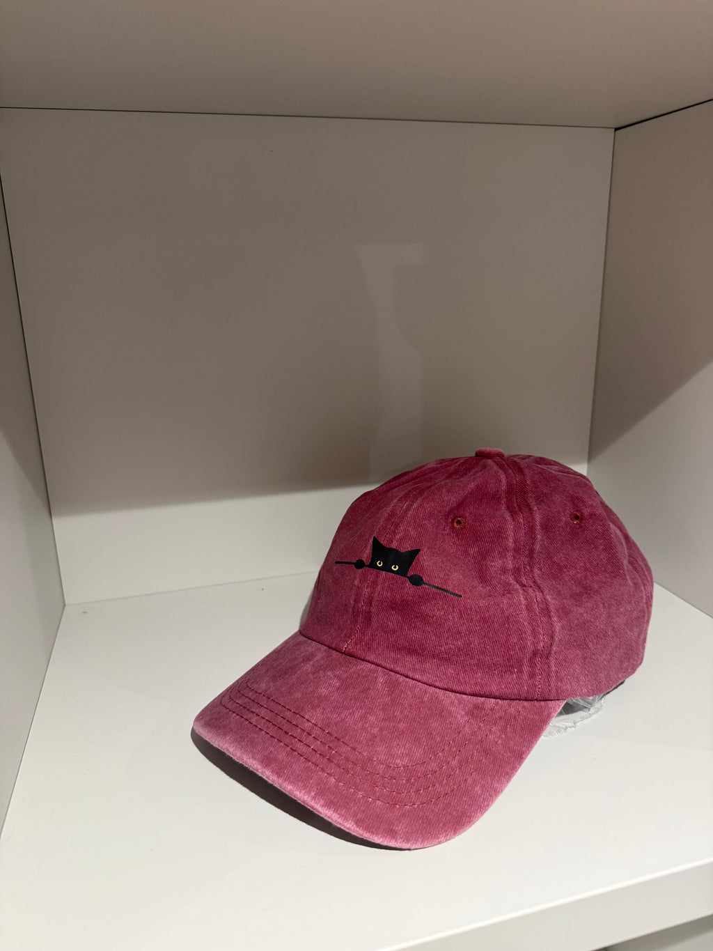 Hidden cat borgougne hat