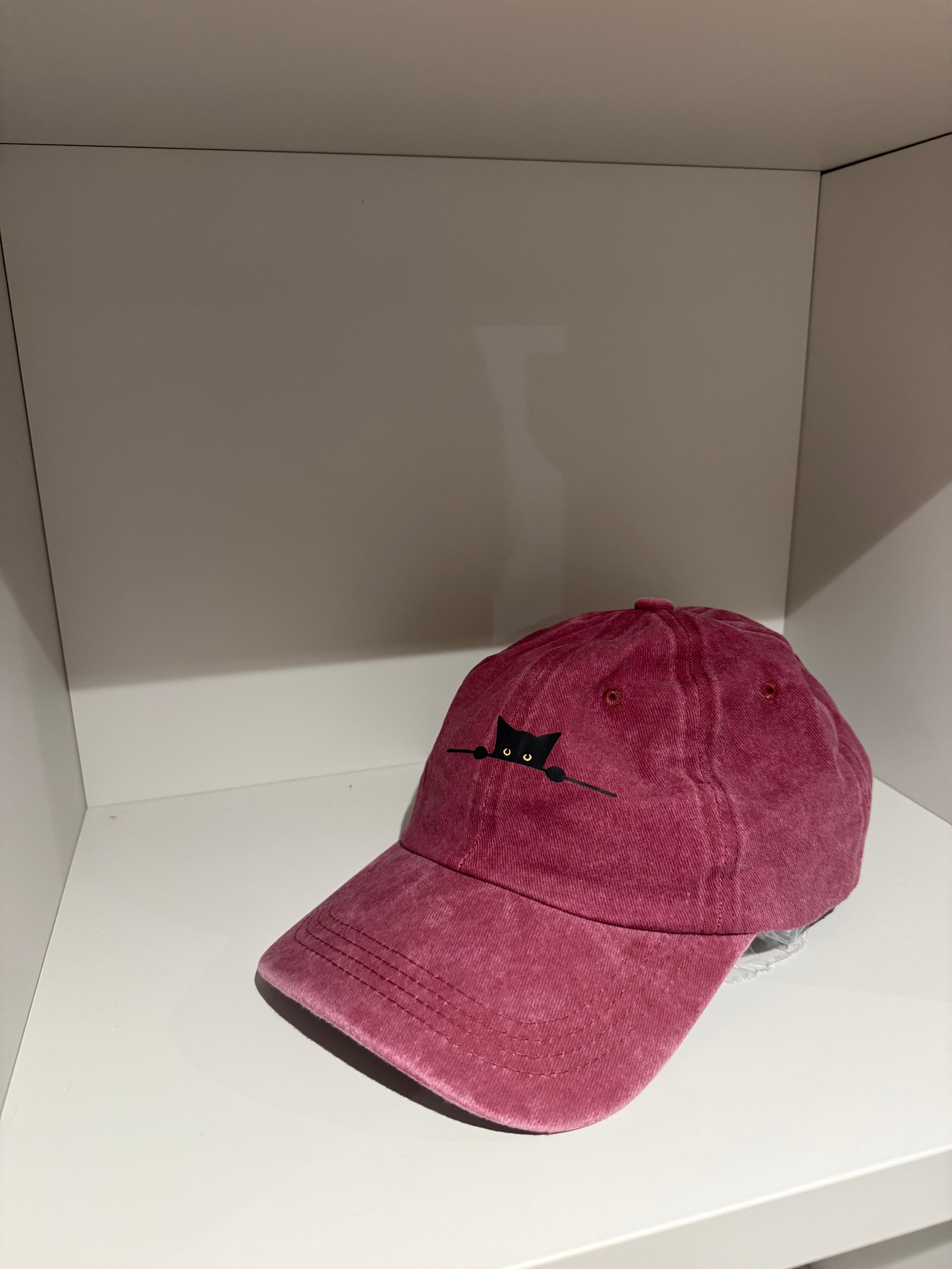 Hidden cat borgougne hat