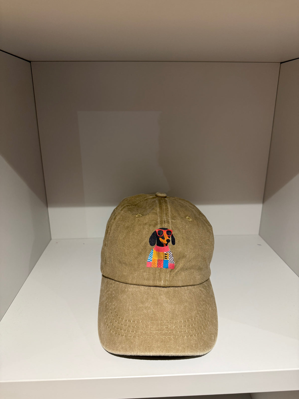 bassotto snob dog hat