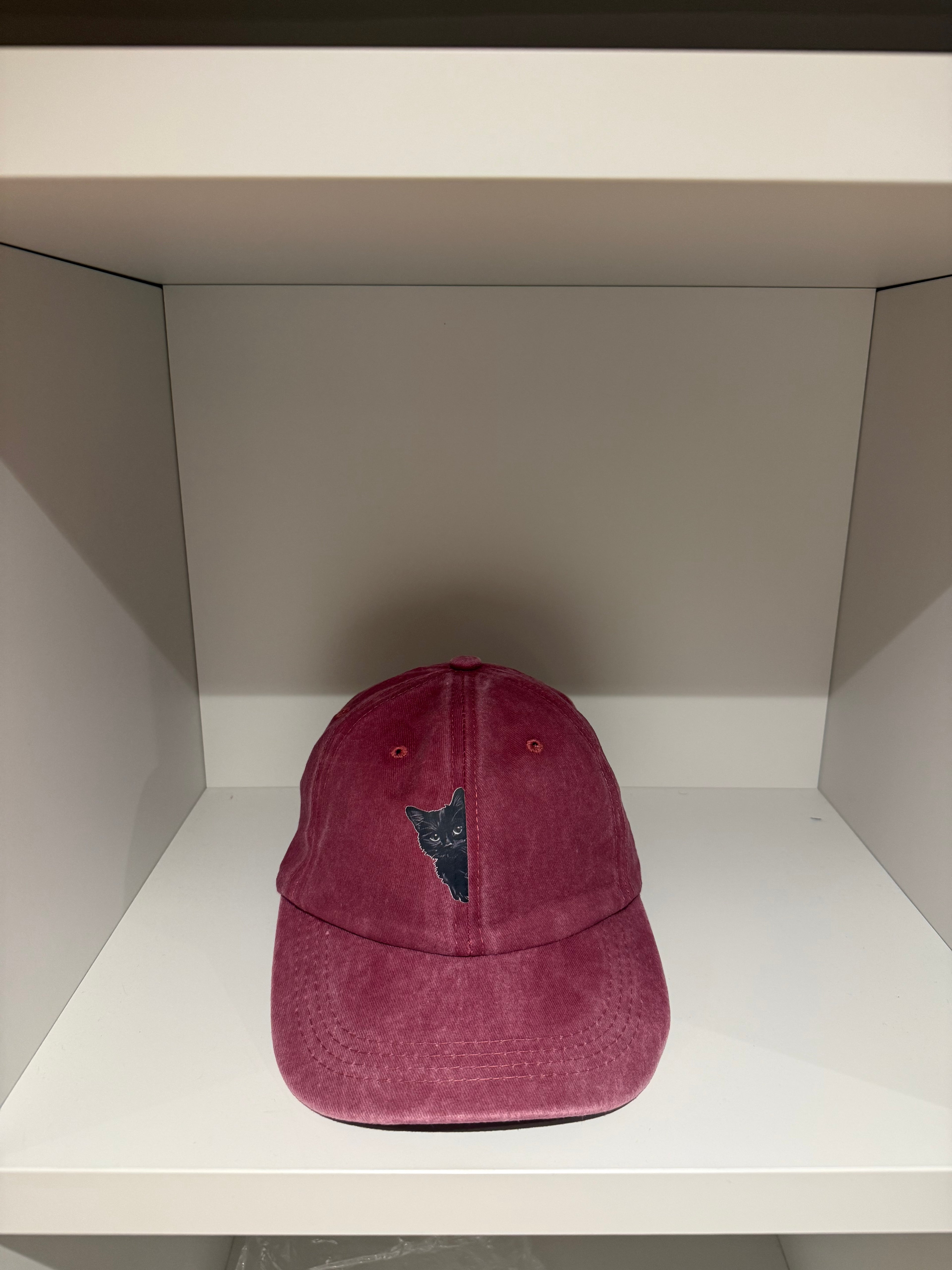 Hidden cat hat