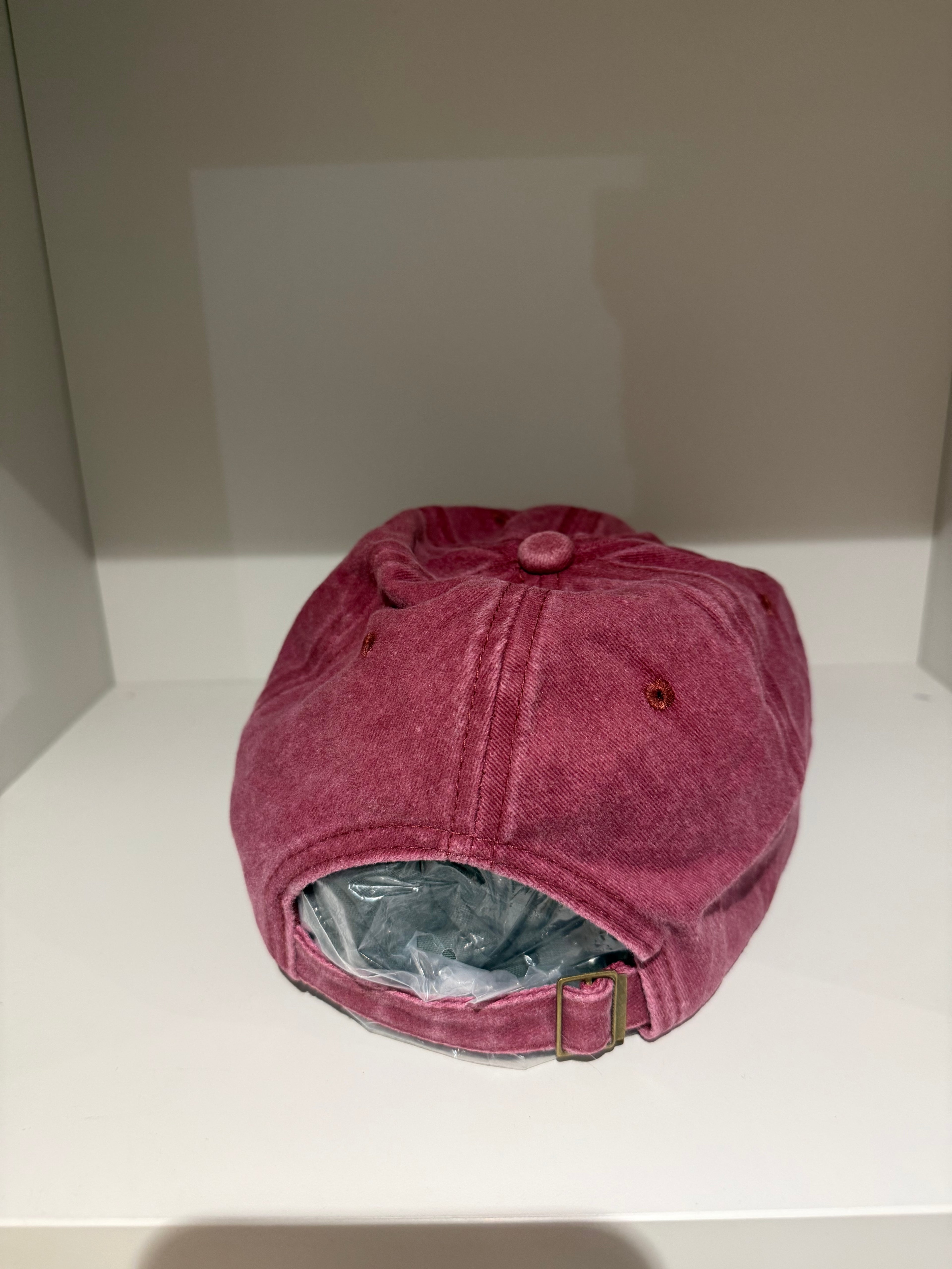 Hidden cat borgougne hat